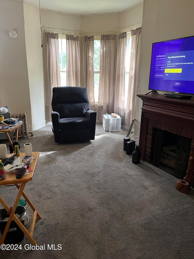 living room with a fireplace and carpet