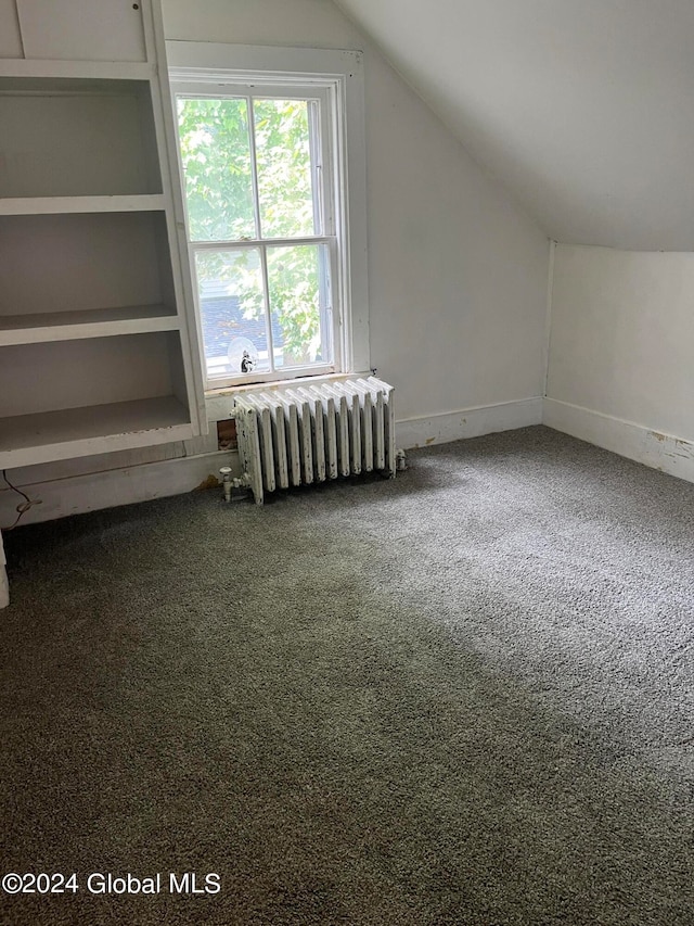 additional living space featuring radiator, vaulted ceiling, and carpet flooring