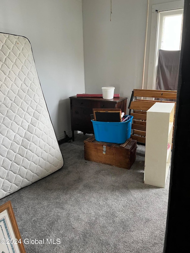 bedroom with carpet floors