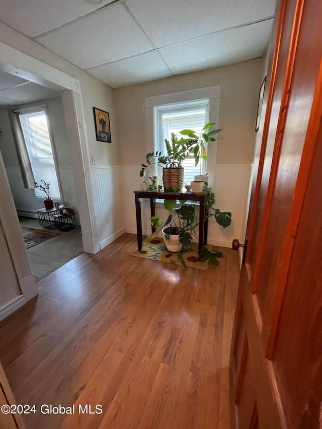 hallway featuring a paneled ceiling and wood-type flooring