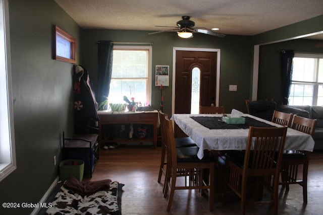 dining area featuring hardwood / wood-style flooring, ceiling fan, and a textured ceiling