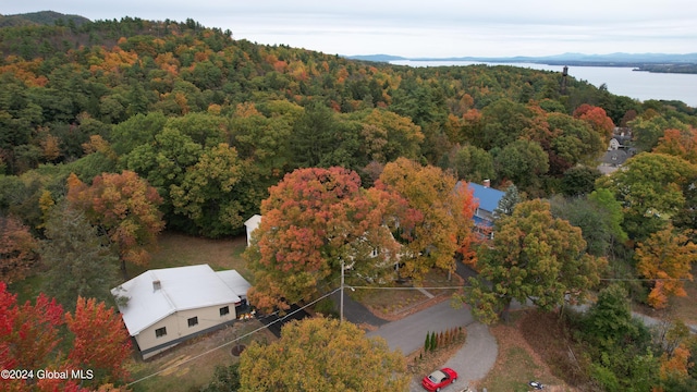 aerial view featuring a forest view and a water view