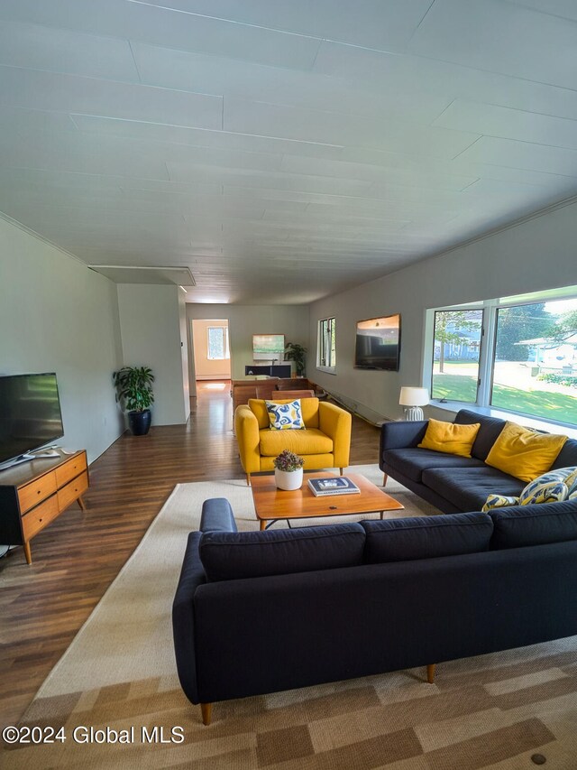 living room featuring wood-type flooring