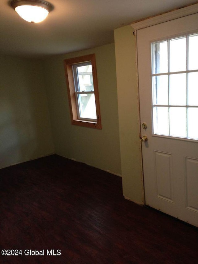 interior space featuring dark hardwood / wood-style flooring