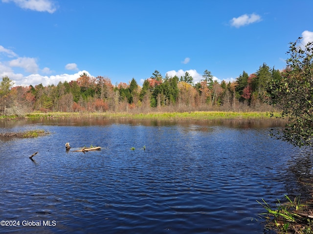 L9 Atateka Rd, Chester NY, 12817 land for sale