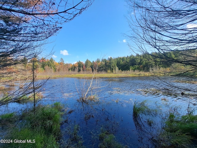 L9 Atateka Rd, Chester, NY 12817 - photo 2