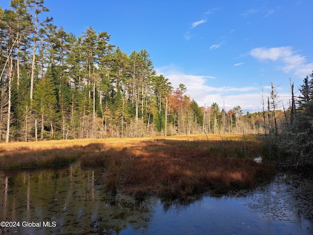 L9 Atateka Rd, Chester, NY 12817 - photo 9