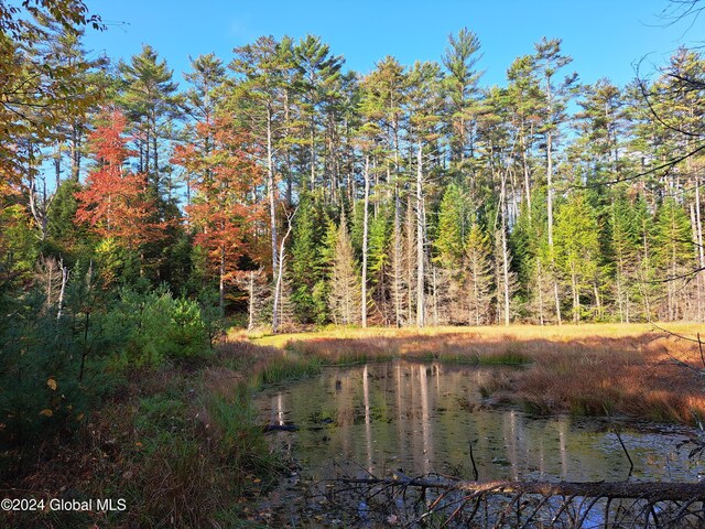L9 Atateka Rd, Chester, NY 12817 - photo 10