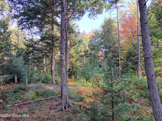 L9 Atateka Rd, Chester, NY 12817 - photo 12