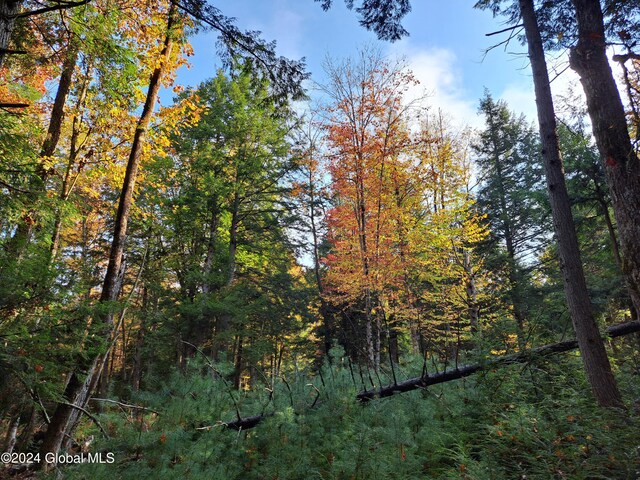 L9 Atateka Rd, Chester, NY 12817 - photo 13