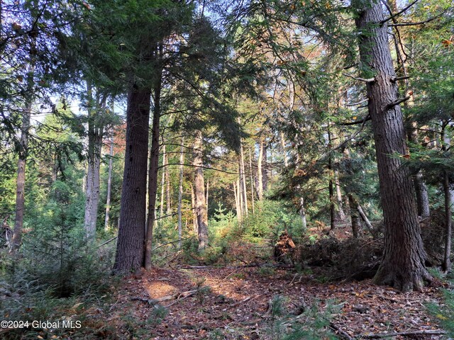 L9 Atateka Rd, Chester, NY 12817 - photo 14