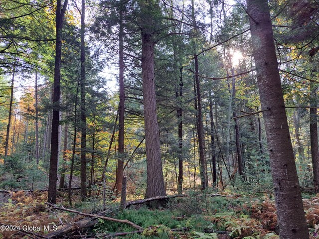 L9 Atateka Rd, Chester, NY 12817 - photo 15