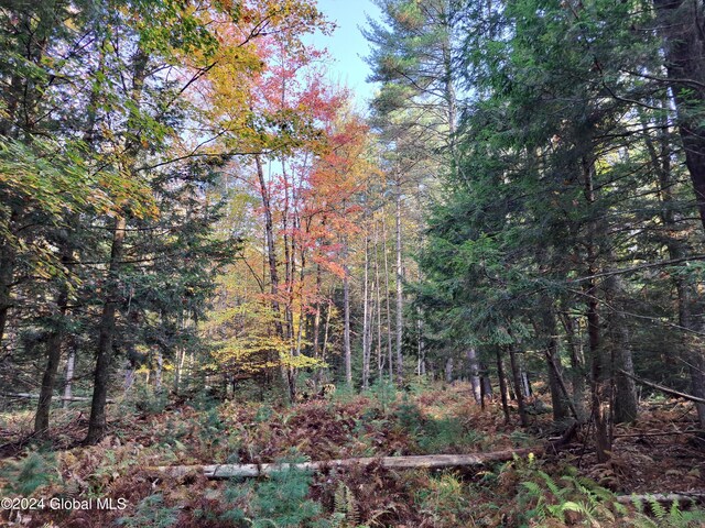 L9 Atateka Rd, Chester, NY 12817 - photo 16