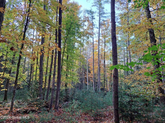 L9 Atateka Rd, Chester, NY 12817 - photo 17