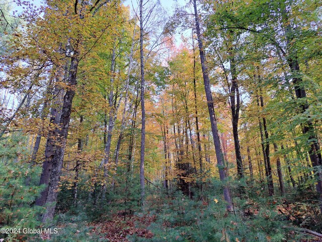 L9 Atateka Rd, Chester, NY 12817 - photo 18