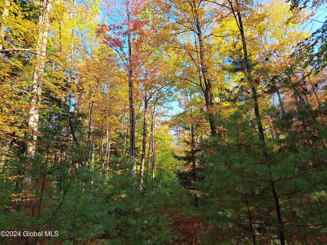 L9 Atateka Rd, Chester, NY 12817 - photo 19