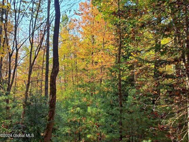 L9 Atateka Rd, Chester, NY 12817 - photo 20