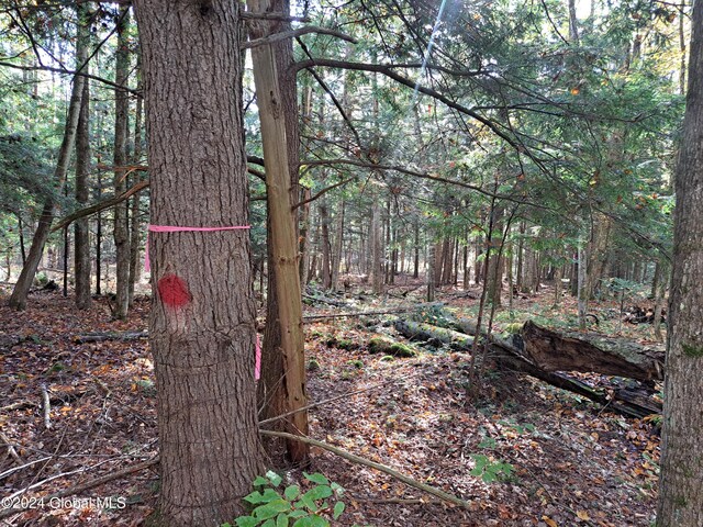L9 Atateka Rd, Chester, NY 12817 - photo 21