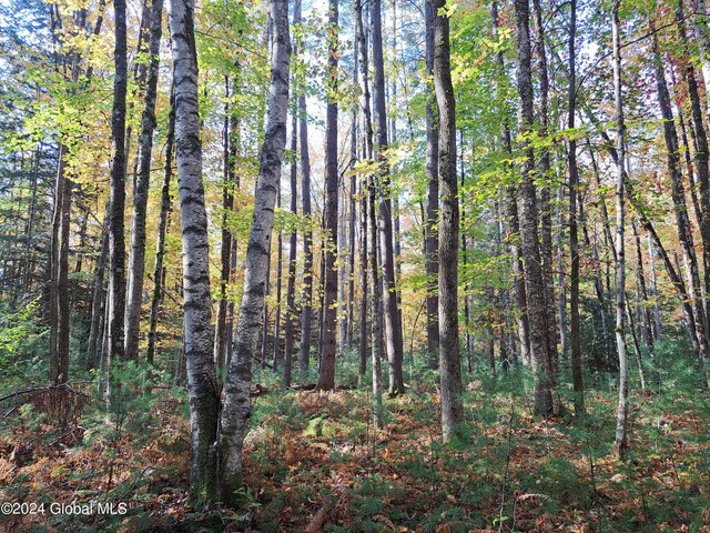 L9 Atateka Rd, Chester, NY 12817 - photo 22