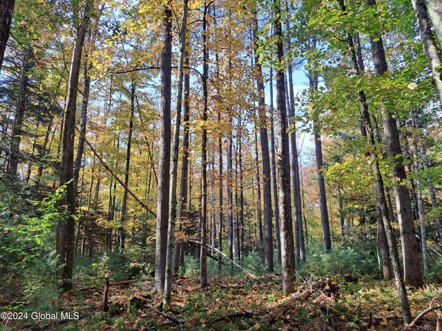L9 Atateka Rd, Chester, NY 12817 - photo 23