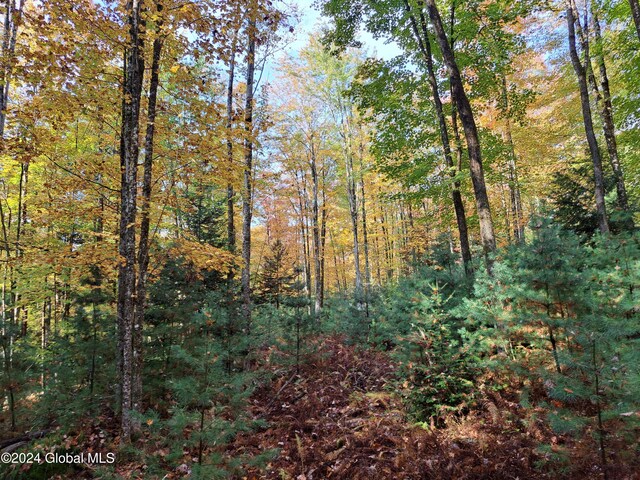L9 Atateka Rd, Chester, NY 12817 - photo 24