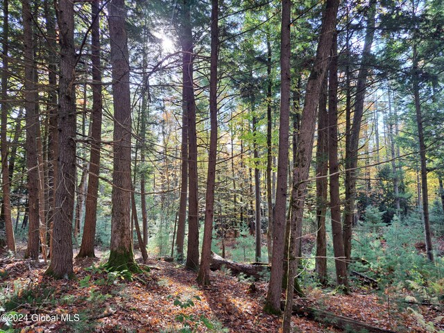 L9 Atateka Rd, Chester, NY 12817 - photo 25