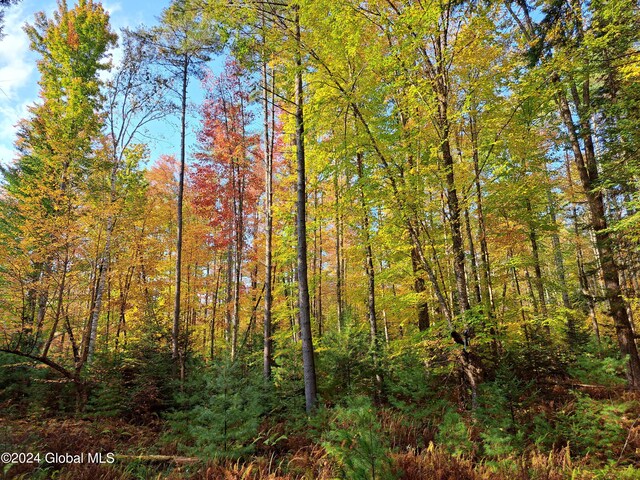 L9 Atateka Rd, Chester, NY 12817 - photo 26