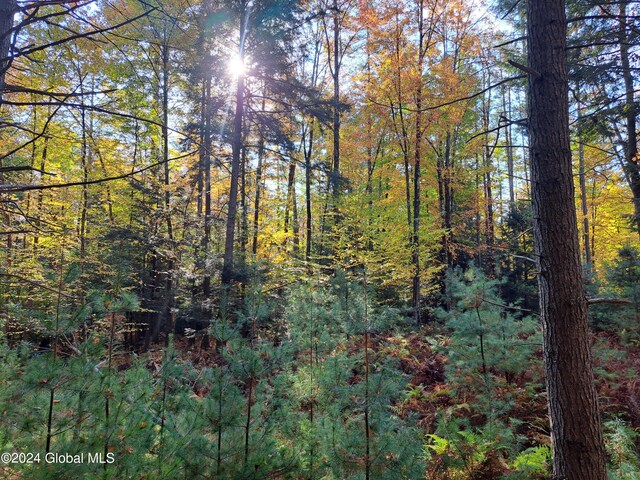 L9 Atateka Rd, Chester, NY 12817 - photo 27