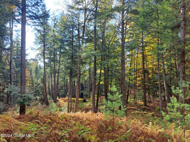 L9 Atateka Rd, Chester, NY 12817 - photo 28