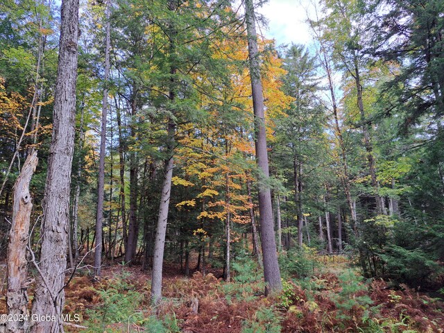 L9 Atateka Rd, Chester, NY 12817 - photo 29