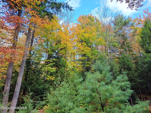L9 Atateka Rd, Chester, NY 12817 - photo 34