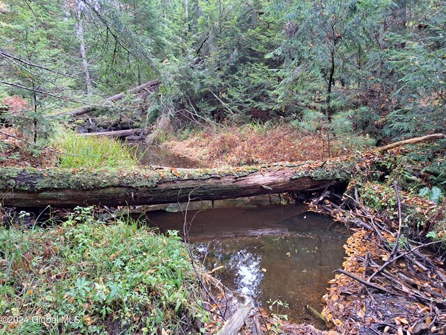 L9 Atateka Rd, Chester, NY 12817 - photo 35