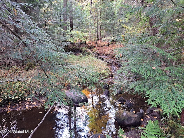 L9 Atateka Rd, Chester, NY 12817 - photo 36