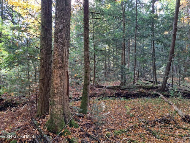 L9 Atateka Rd, Chester, NY 12817 - photo 37