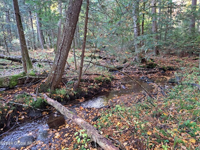 L9 Atateka Rd, Chester, NY 12817 - photo 38