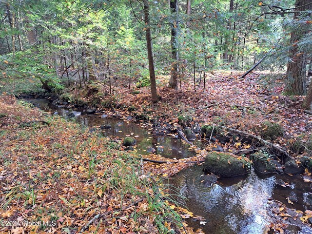 L9 Atateka Rd, Chester, NY 12817 - photo 39