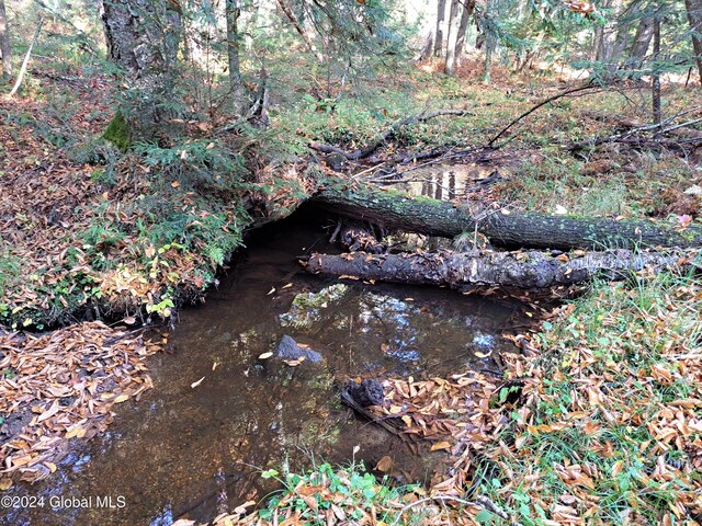 L9 Atateka Rd, Chester, NY 12817 - photo 40