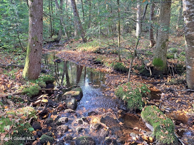 L9 Atateka Rd, Chester, NY 12817 - photo 43