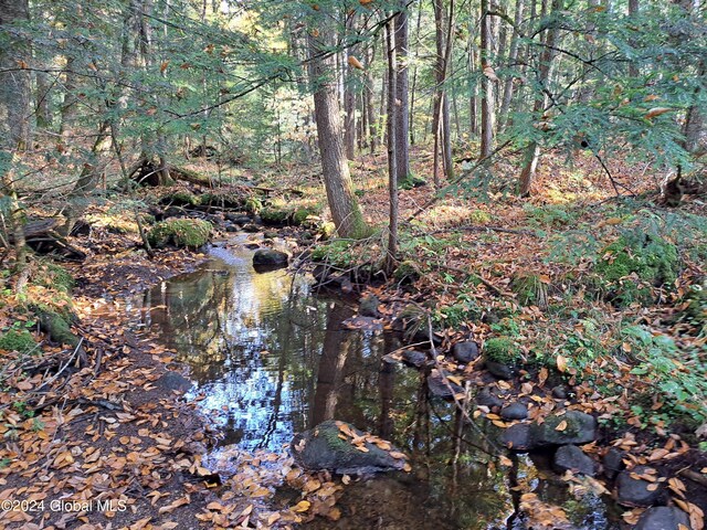 L9 Atateka Rd, Chester, NY 12817 - photo 44