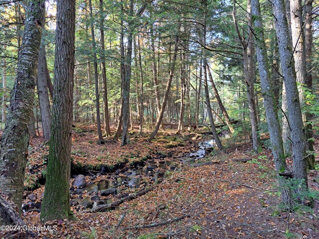 L9 Atateka Rd, Chester, NY 12817 - photo 46