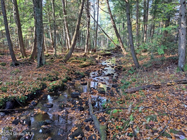L9 Atateka Rd, Chester, NY 12817 - photo 47