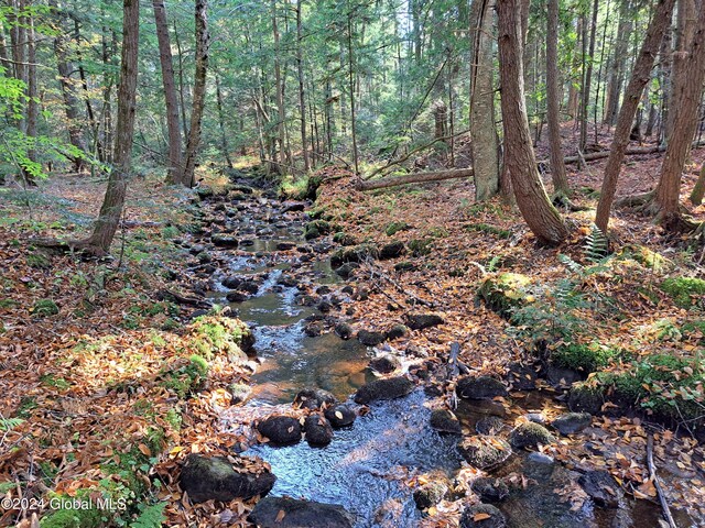 L9 Atateka Rd, Chester, NY 12817 - photo 48