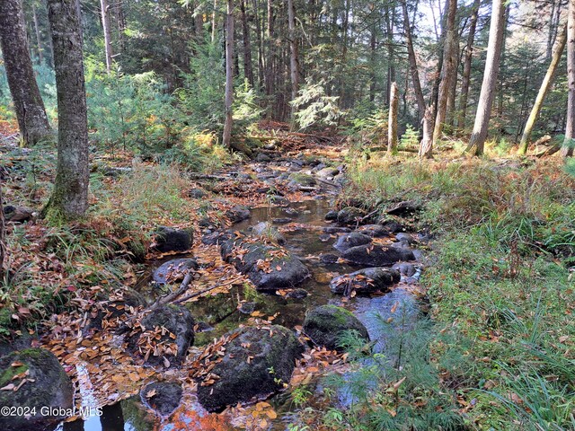 L9 Atateka Rd, Chester, NY 12817 - photo 49