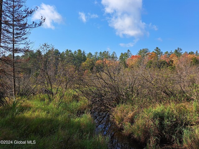 L9 Atateka Rd, Chester, NY 12817 - photo 50