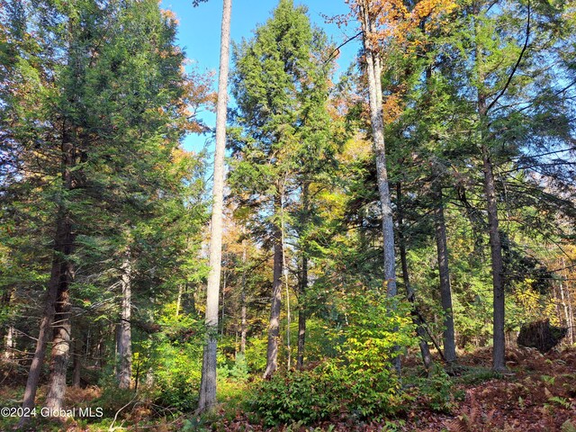 L9 Atateka Rd, Chester, NY 12817 - photo 55