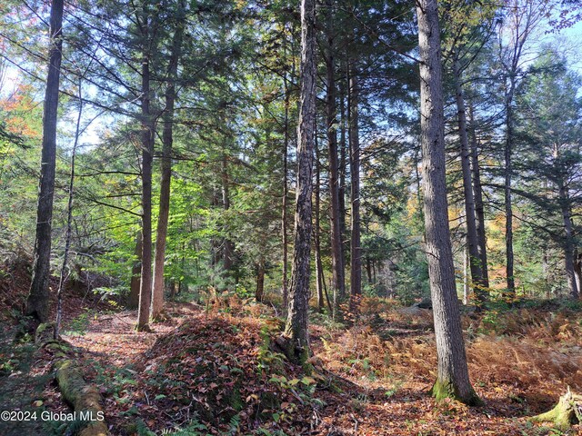 L9 Atateka Rd, Chester, NY 12817 - photo 56