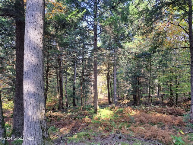 L9 Atateka Rd, Chester, NY 12817 - photo 57