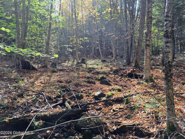 L9 Atateka Rd, Chester, NY 12817 - photo 58