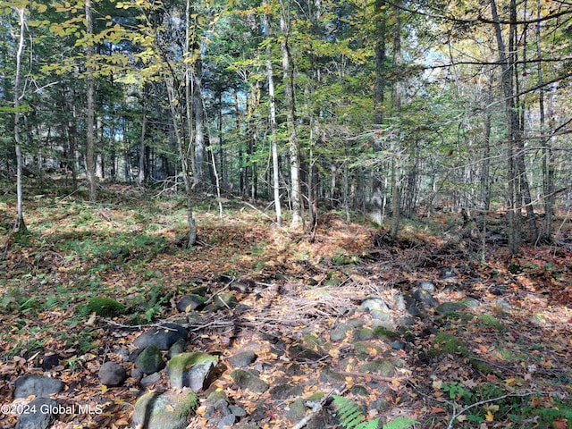 L9 Atateka Rd, Chester, NY 12817 - photo 59