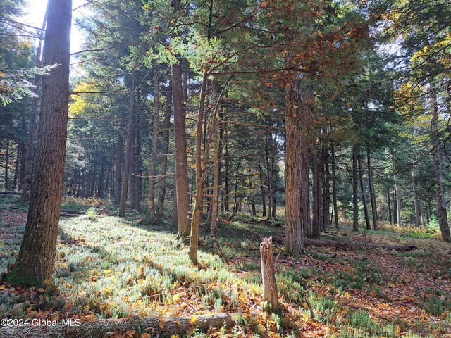 L9 Atateka Rd, Chester, NY 12817 - photo 60